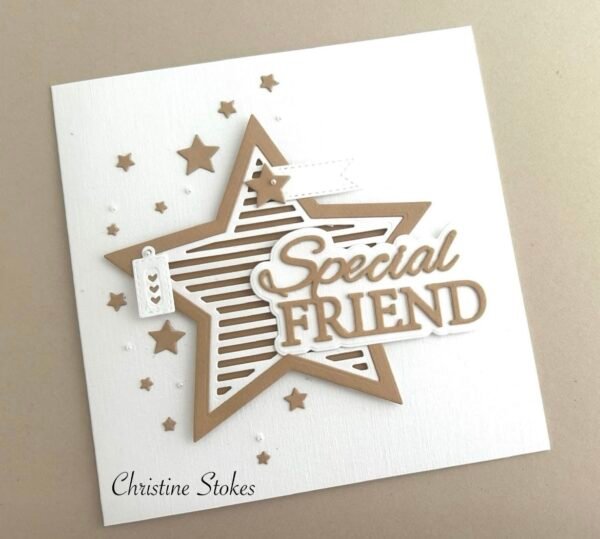 Special Friend Sentiments (Includes Shadows) - Image 4