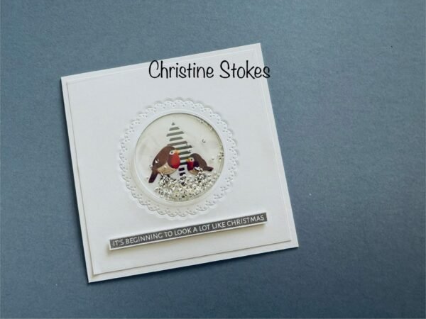 The Festive Robin Collection - Image 3