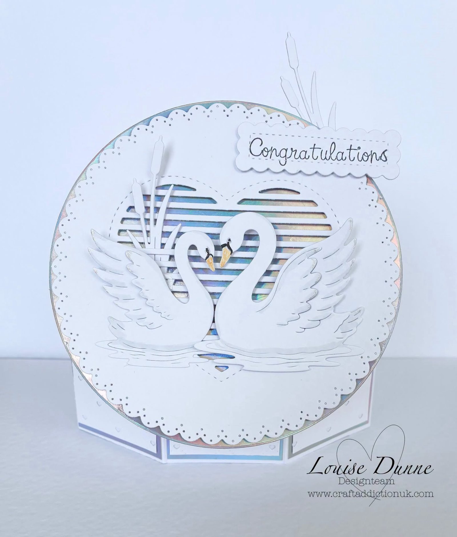 Swan Family Collection - Image 2
